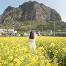 테마파크모텔 | 제주 신화테마파크 할인 및 제주 숙박세일 페스타 적용! 완벽한 제주 신화월드 숙소 호캉스 추천