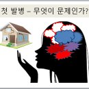 약으로 되는 것과 안 되는 것 -- [조현병-조울증-우울증] 이미지