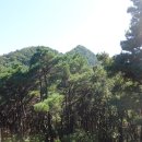 필봉공원 이미지