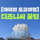 (주)플라잉터틀 | [아이와 도쿄여행] 주말 디즈니씨 꿀팁 / 초등 고학년 / DPA, PP / 식당