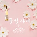 풍정 | 풍정사계 춘 약주 전통주 우리술 시음후기 내돈내산 향온곡 도수