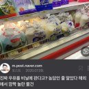 [시원스쿨 독일어후기] 독일에서 장보기 feat. 토마토 2kg 주세요~!