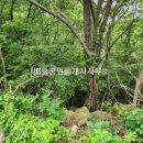 점암면사무소 이미지