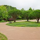 푸른수목원 이미지