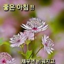 휠링 - 연수구 | 휠링