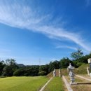 성녕대군묘 및 신도비 이미지