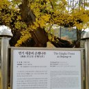 숭모각 이미지