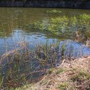 신봉 낚시터 이미지