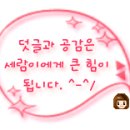 컴플리트 리페어 이미지