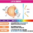 으뜸플러스 안경원 이미지