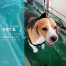 이을동물병원 이미지