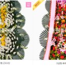 농협신니 이미지