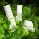 올코리아(주) 이미지