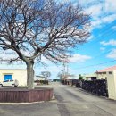 일과2리경로당 이미지