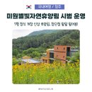 청주 미원별빛자연휴양림 후기, 1만 3천 명 몰린 이유 직접 확인해봤습니다