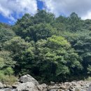 깊은골캠핑장 이미지