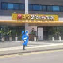 원조칠성통황금닭갈비칼국수 이미지