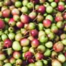 백월산농장 이미지