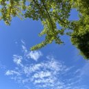 둔산중로-23 이미지