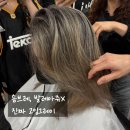 은빛헤어 - 진주시 | 은빛 매력 폭발! 고잉 그레이 미용 교육 후기 정리해봤어요! / 헤어스튜디오공감