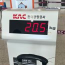 CU 인하학생회관점 | 2025 제주대 여름 계절학기 에피소드 &amp; 정보 총정리 🌴