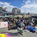 샛도리물 이미지