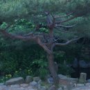 국민청소년수련원 이미지