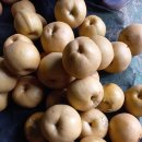 하동농장 이미지