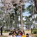 다(多)가치 열린보육 동구국공립어린이집연합회 환경캠페인활동 이미지