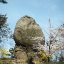 장재삼거리 이미지