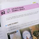 핑크돼지PC | 쓰는 챗GPT 영상 생성 AI 소라2 AI> 리뷰 | 텍스트 인간의 AI 영상 제작 도전기 (핑크돼지부터 남주까지)