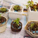 새희망지역아동센터 이미지