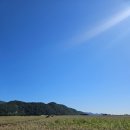 나라꽃 미니정원 | 🌾 순천시 통합권으로 둘째날 여행! 순천만습지 &amp; 순천만정원 후기 정수기 위치 🌼