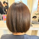 [일원2] 가정 헤어 | 일원역미용실 리안헤어 강남일원점 시세이도 클리닉 시술 후기