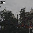 환경교육(음식물 폐기물 처리) 이미지