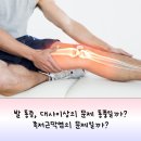 류마이준희내과의원 이미지