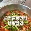 태향물회