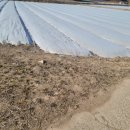 신녕면행정복지센터 이미지