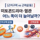 근지구력 운동 vs 근력운동 미토콘드리아·모세혈관(혈관생성), 뭐가 더 늘어날까? 이미지