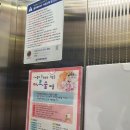 그림숲아트미술교습소 - 안양시 동안구 경수대로584번길 37 | 그림숲아트미술교습소