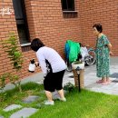 아가페내과의원 | 진딧물 제거 프로젝트 [2021' 07. 08]