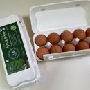 꼬꼬양계농장 이미지