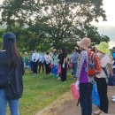 범세동 선생묘 이미지