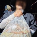 녹동 | 고흥녹동여명호 선상낚시 문어 출조 후기