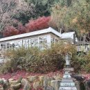 praise suite | [가평 청평면] 유럽 감성의 샌드위치 맛집 | 카페프레이즈/내돈내산