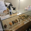 기다려 양과점 이미지