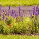 강남 행정사 사무소 이미지