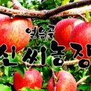 얼음골사과