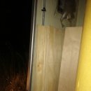 동훈자원 이미지