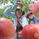 보선농장 이미지